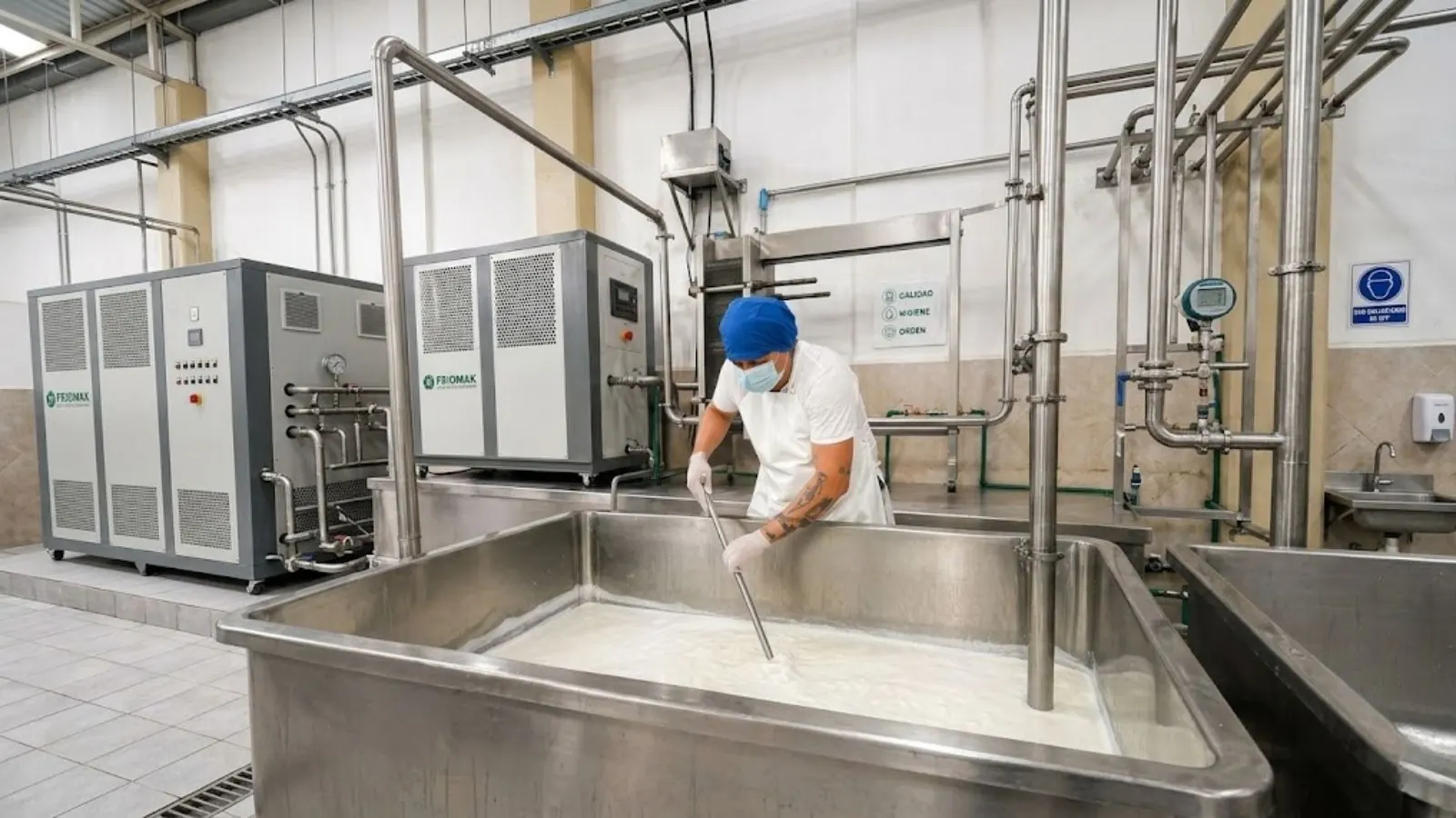 Queso fresco tipo PVC moldeado artesanalmente